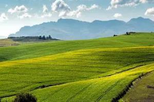 Campos Sin datos  330 hect�reas de campo